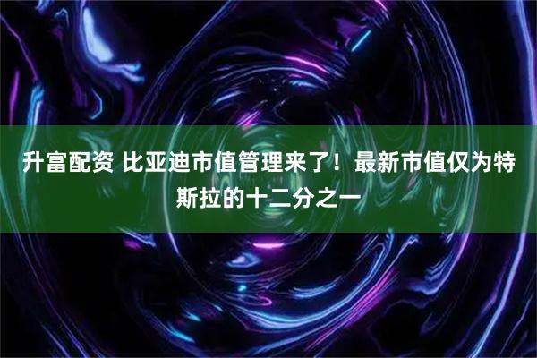 升富配资 比亚迪市值管理来了！最新市值仅为特斯拉的十二分之一