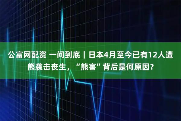 公富网配资 一问到底｜日本4月至今已有12人遭熊袭击丧生，“熊害”背后是何原因？