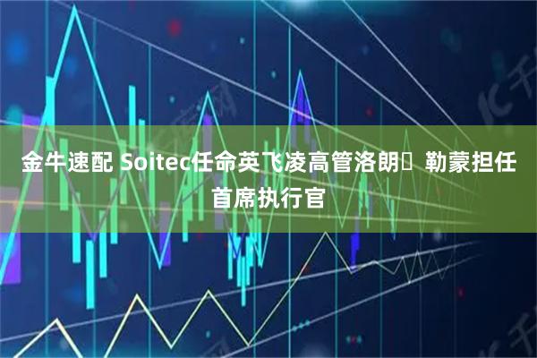 金牛速配 Soitec任命英飞凌高管洛朗・勒蒙担任首席执行官