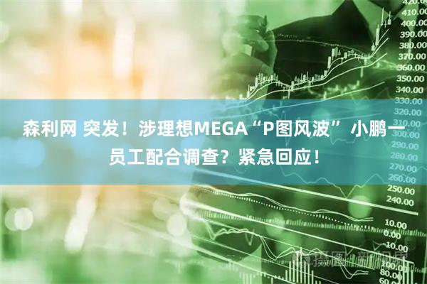 森利网 突发！涉理想MEGA“P图风波” 小鹏一员工配合调查？紧急回应！