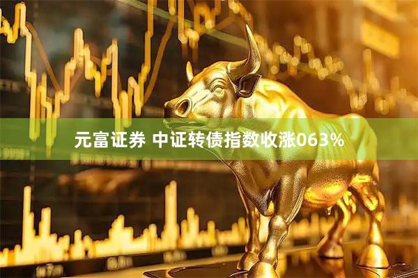 元富证券 中证转债指数收涨063%
